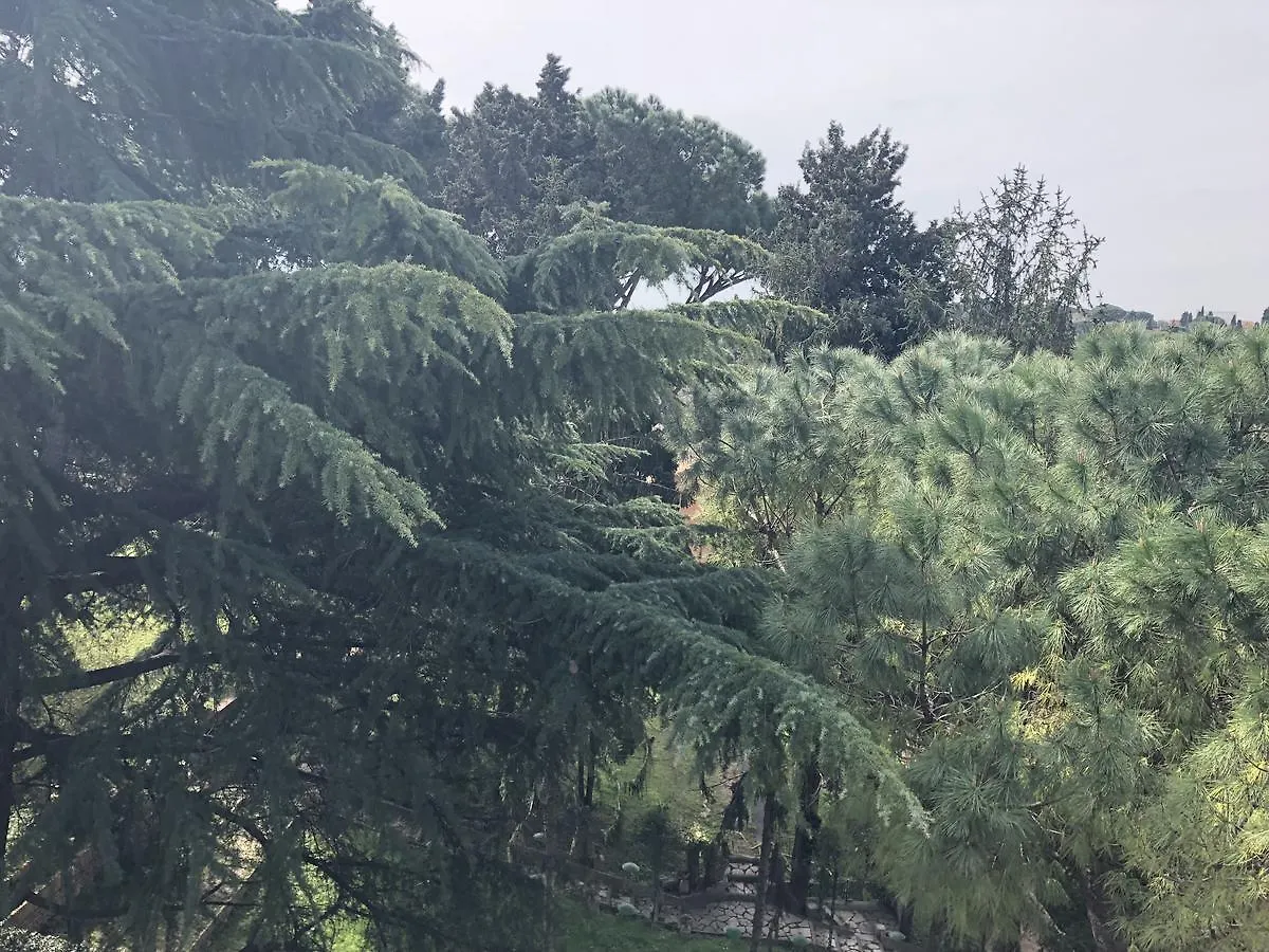 Suite Colosseo APT. Roma